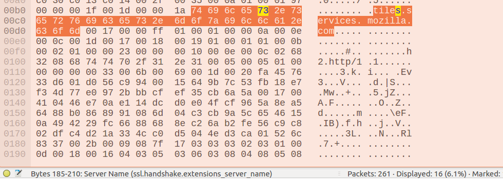 wireshark_packet_details.png