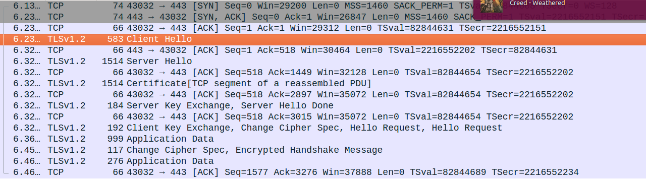 wireshark usage